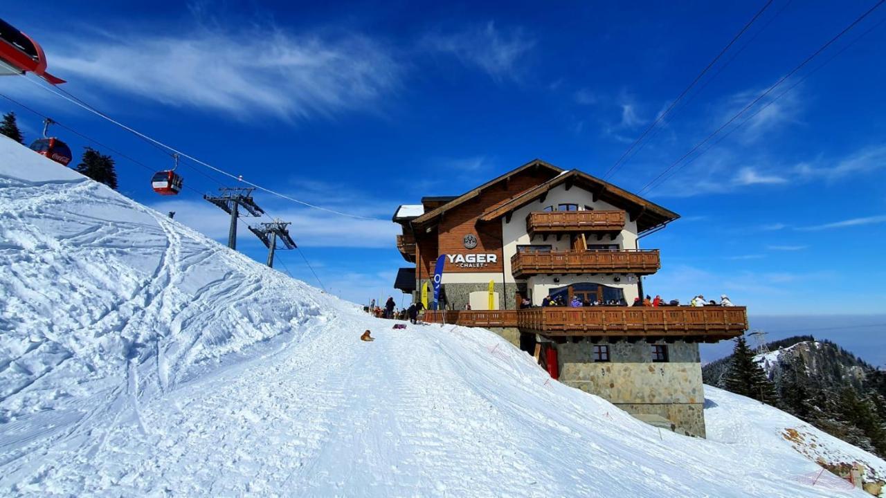 Yager Chalet 波亚纳布拉索夫 外观 照片