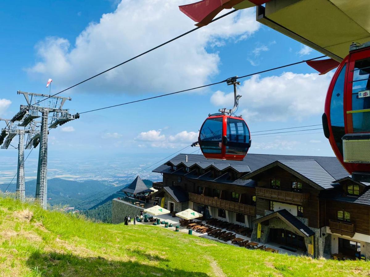 Yager Chalet 波亚纳布拉索夫 外观 照片